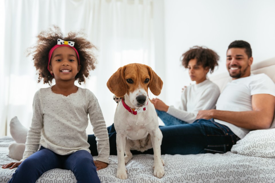 10 great reasons all families need a pet Adobestock 111508056 1 on successful black parenting magazine