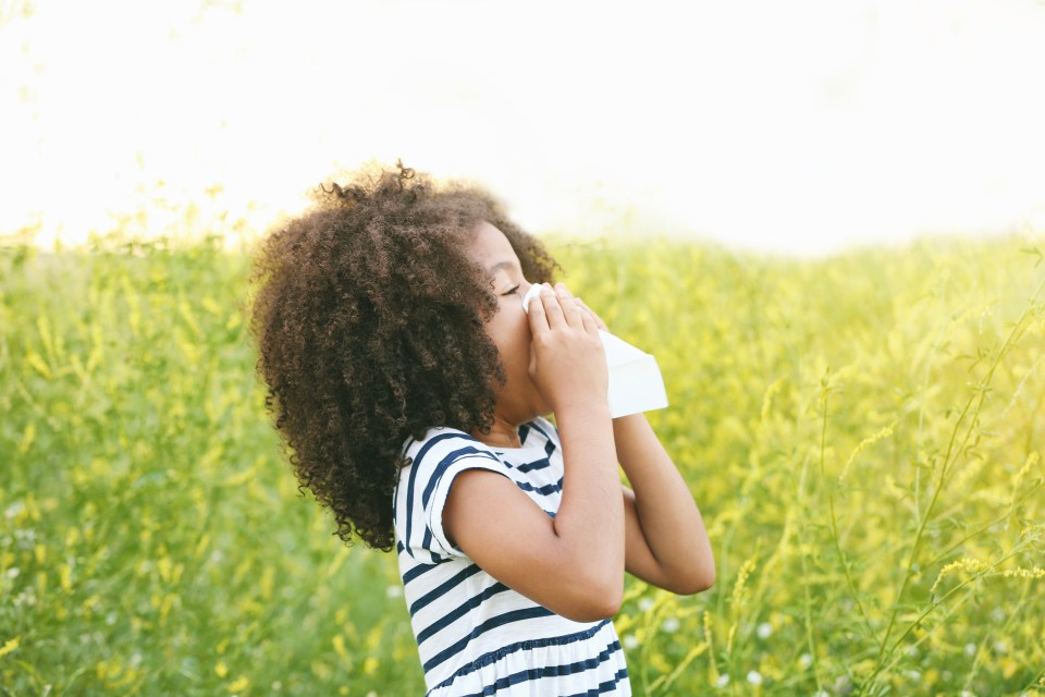 Help your kids with seasonal allergies survive the super bloom Adobestock 118515346 on successful black parenting magazine