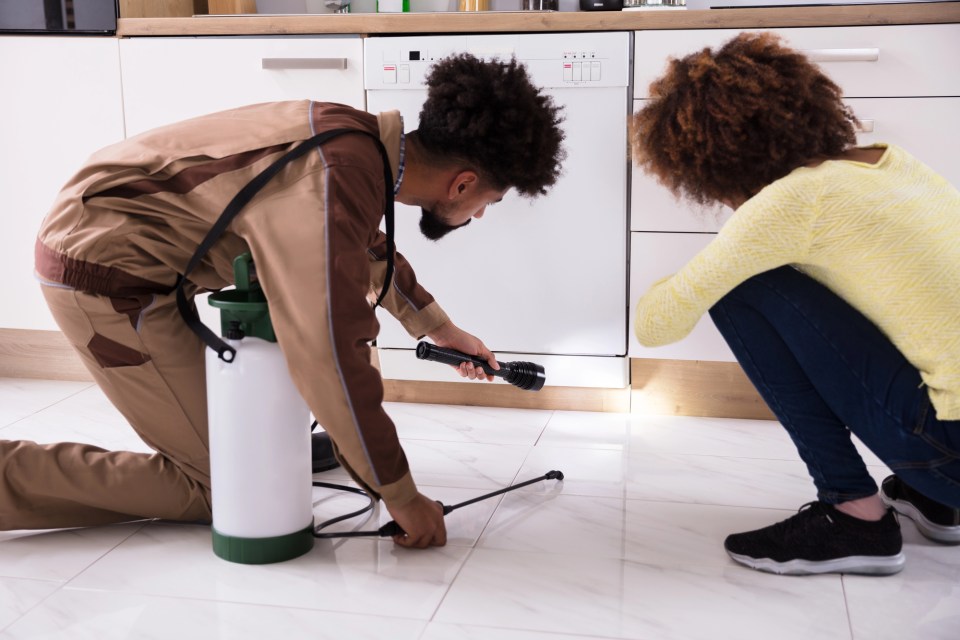 Parenting in atlanta: the ultimate guide to keeping pests away A mom and exterminator seeking pest under a dishwasher for an article on parenting in atlanta: the ultimate guide to keeping pests away.