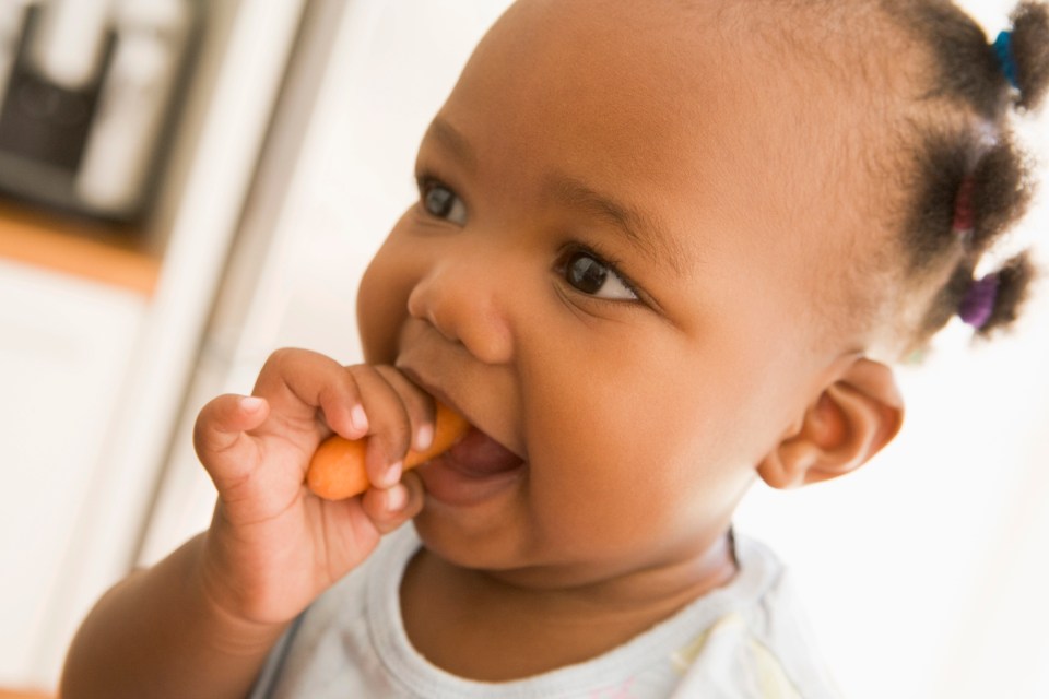 Raising healthy kids: how nutrition affects child development for lifelong well-being An african american toddler eating a carrot for an article on raising healthy kids: how nutrition affects child development for lifelong well-being
