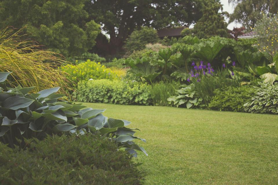 Tech that you should be using in your garden Lush backyard garden landscape showcasing a variety of well-maintained plants, emphasizing how tech tools like smart irrigation and lighting enhance garden care, for an article titled, "tech that you should be using in your garden. "
