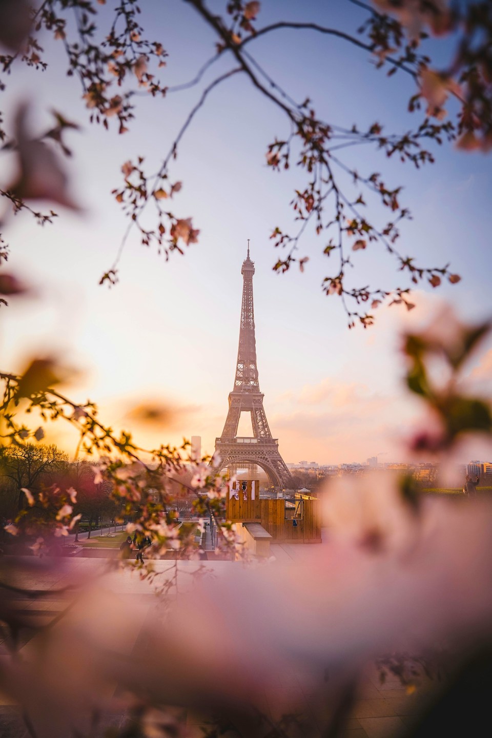 Eiffel tower family friendly travel in paris The eiffel tower is seen through cherry blossoms in paris for a trip for families featured on successful black parenting magazine.