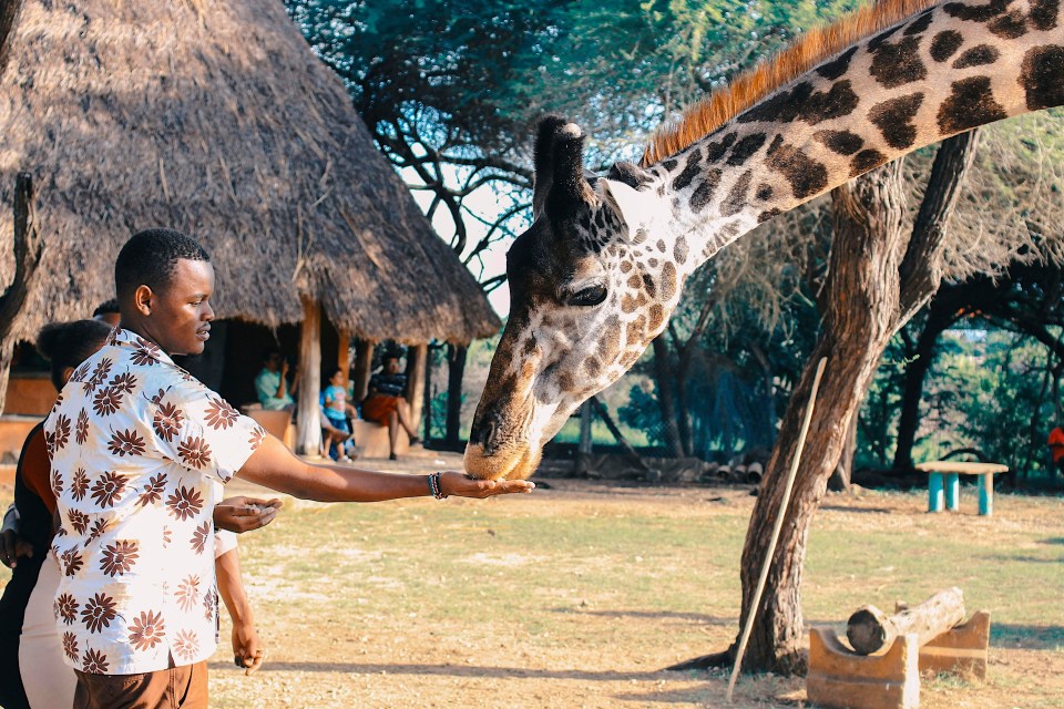 10 breathtaking family-friendly travel destinations worldwide African family safari adventure in cape town, south africa, exciting and educational for children.