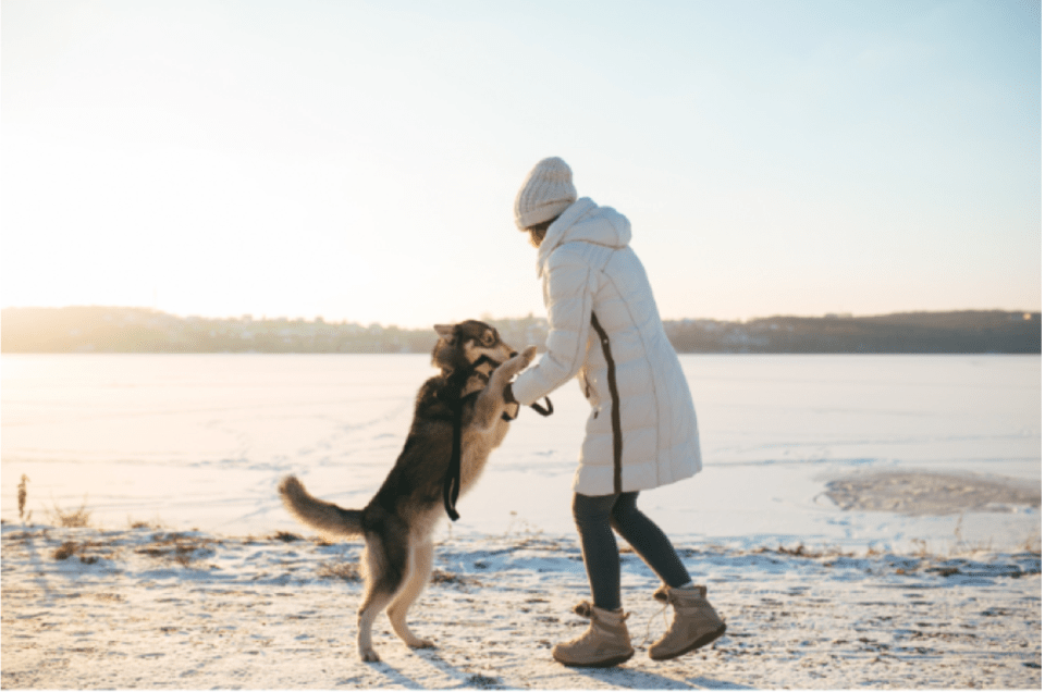 How to have a playful time with your family pet and kids? A person in a winter coat and beanie plays with her family pet, a large dog, on a snowy lakeside path during sunrise, enjoying outdoor bonding time in cold weather.